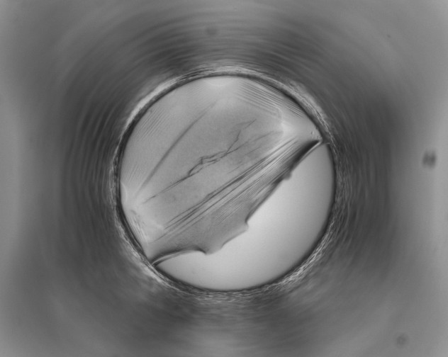 X0000096440806200802211209