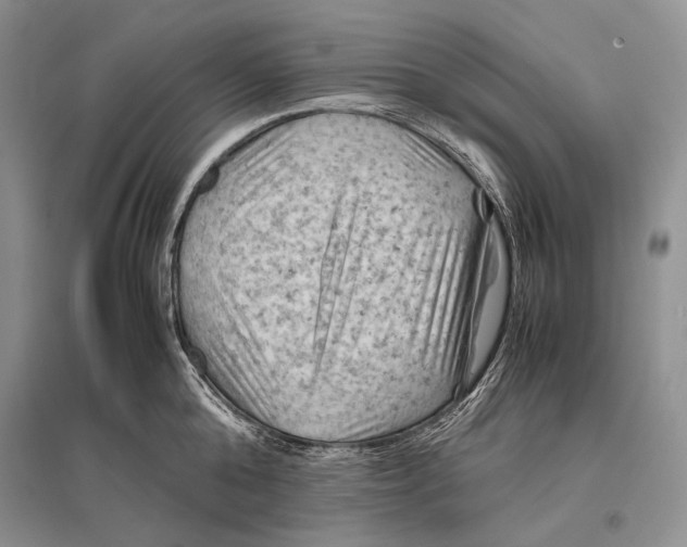 X0000096440808200802211209