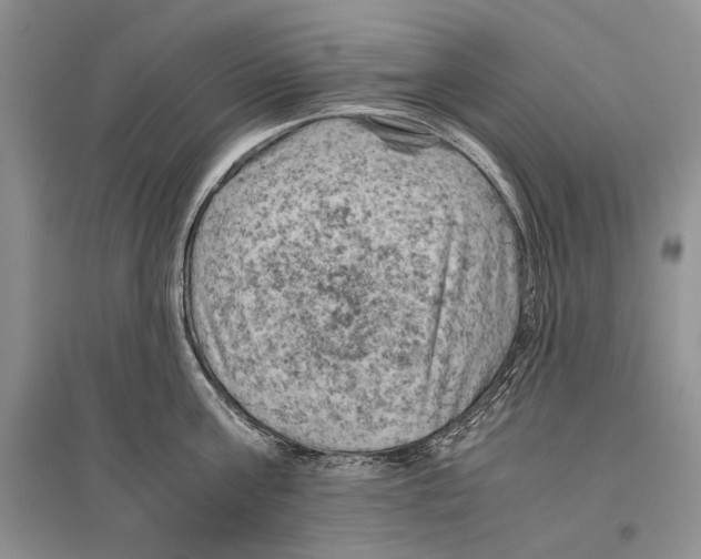 X0000096440811200802211209