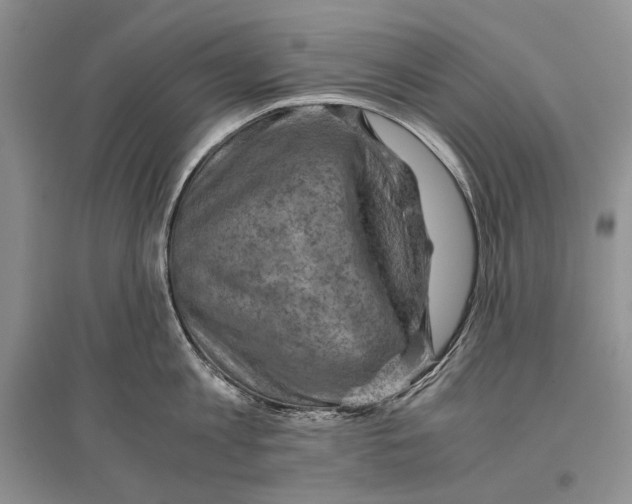 X0000096440813200802211208