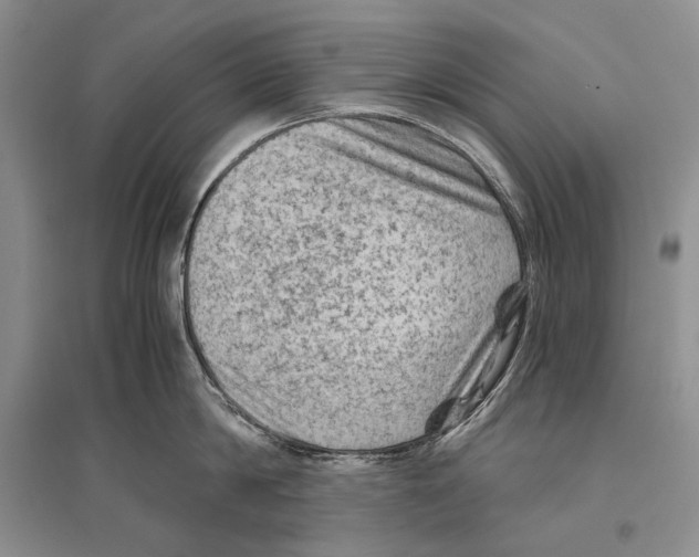 X0000096440814200802211208