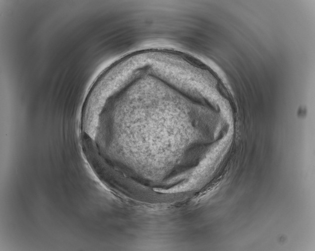 X0000096440815200802211208