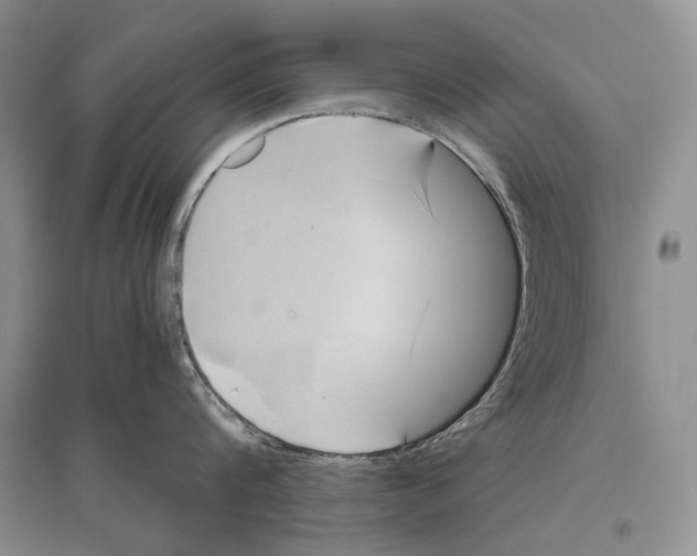 X0000096440816200802211208