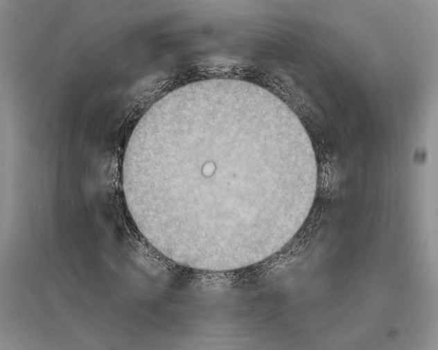 X0000096440820200802211208