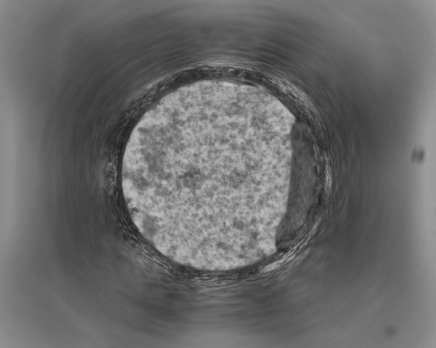 X0000096440821200802211208