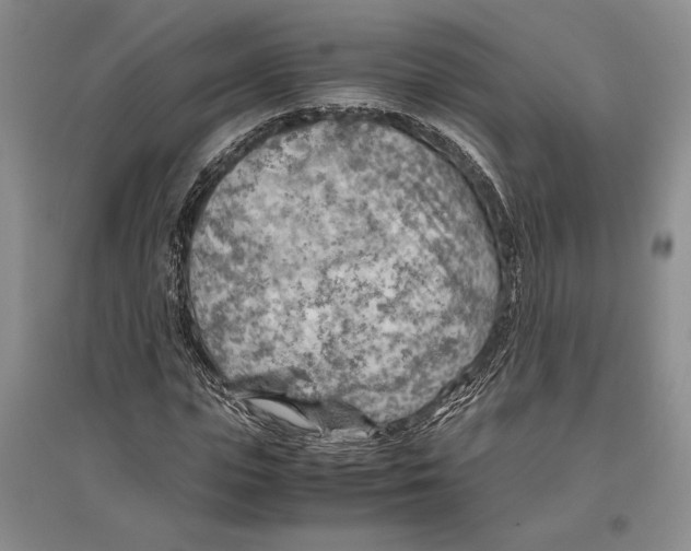 X0000096440823200802211208