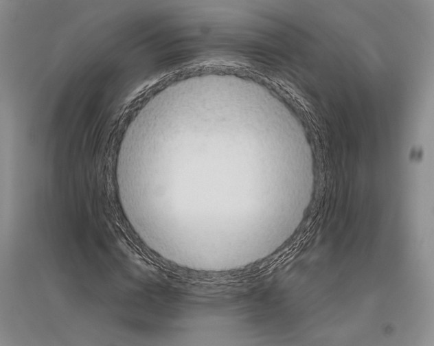 X0000096440824200802211208