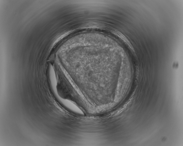 X0000096440826200802211208