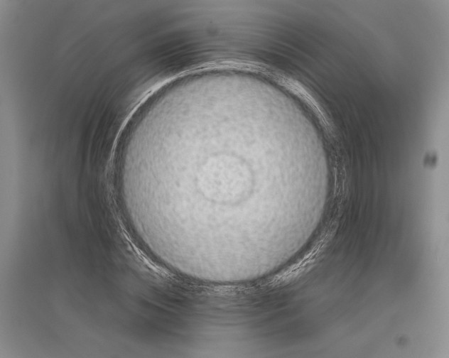 X0000096440828200802211208