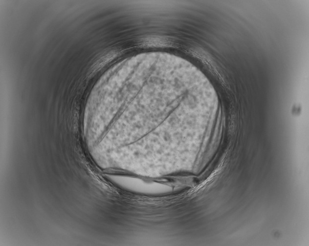 X0000096440833200802211208