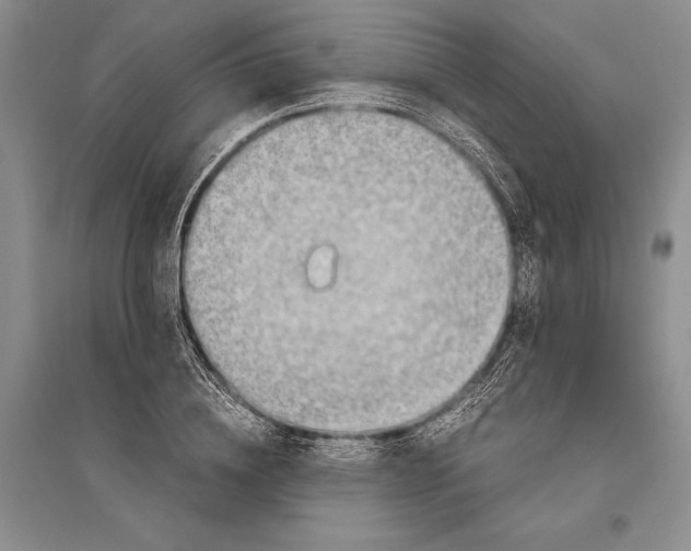 X0000096440836200802211208