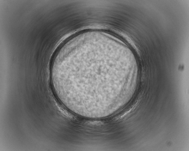 X0000096440837200802211208