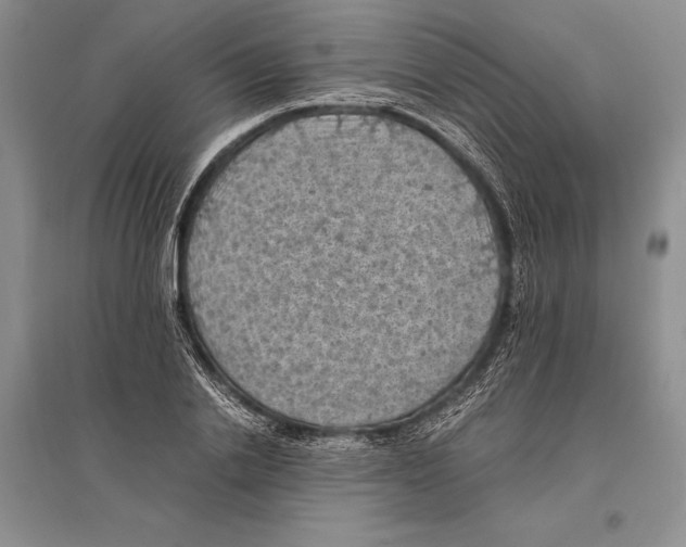 X0000096440838200802211208