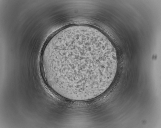 X0000096440840200802211208