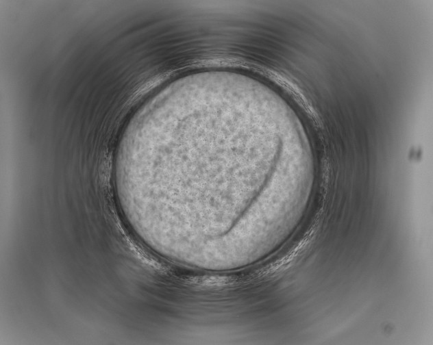 X0000096440841200802211208