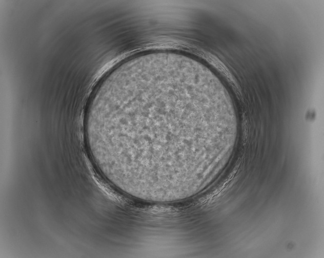 X0000096440842200802211208