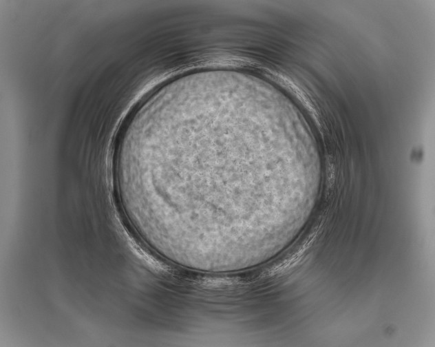 X0000096440843200802211208