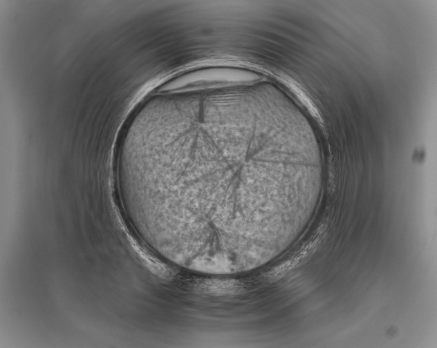 X0000096440845200802211208