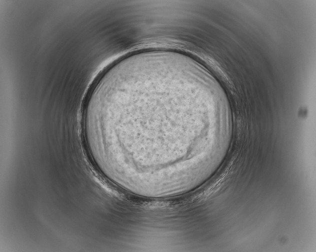 X0000096440846200802211208