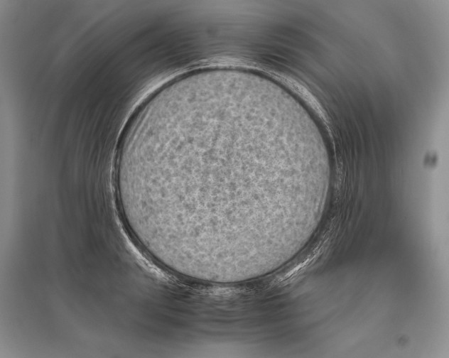 X0000096440847200802211208