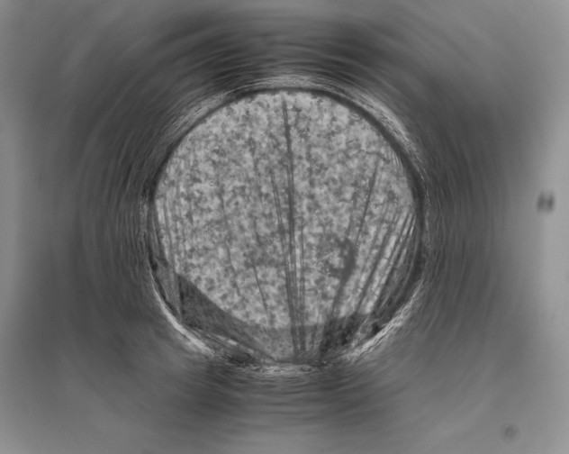 X0000096440849200802211208