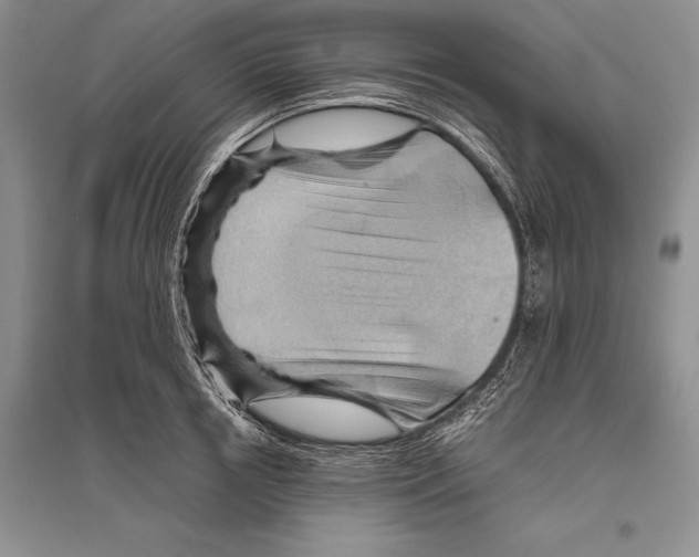 X0000096440850200802211208