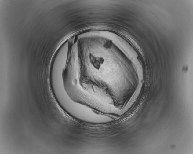 X0000096440853200802211208