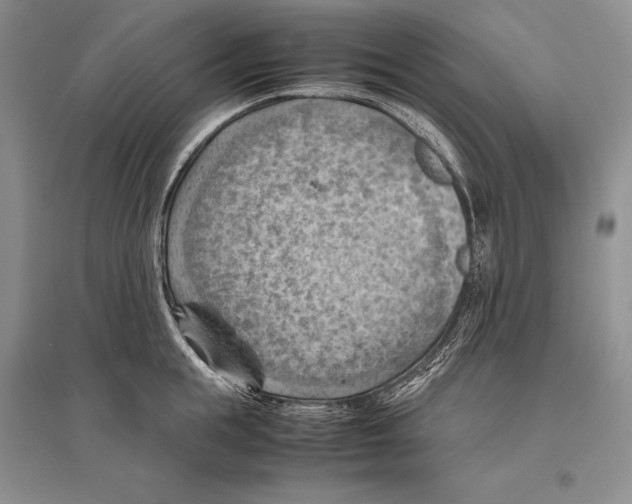 X0000096440855200802211208