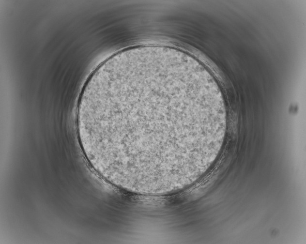 X0000096440856200802211208