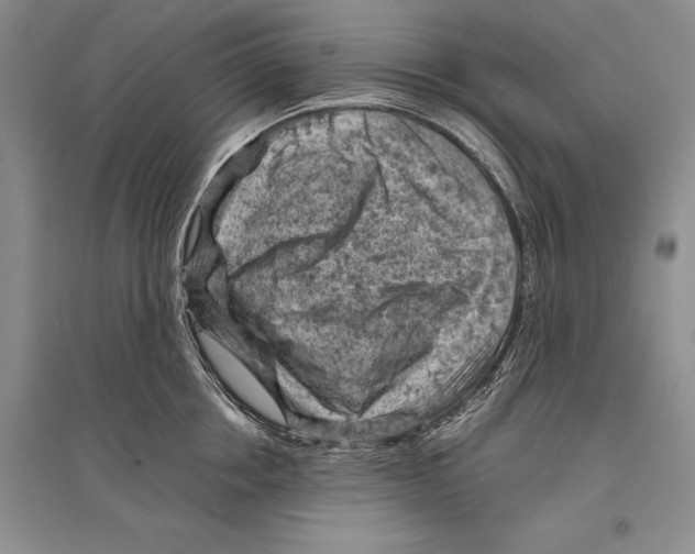 X0000096440858200802211208