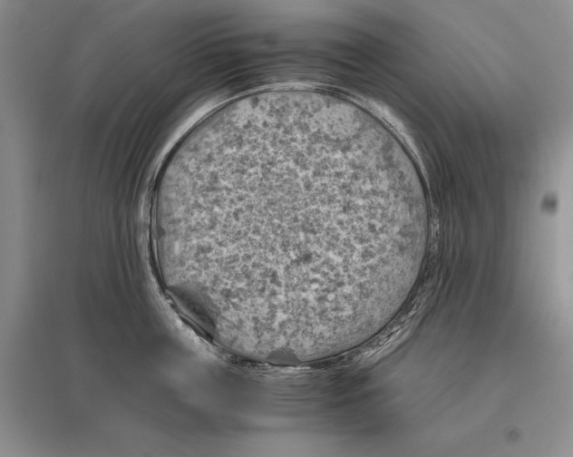 X0000096440859200802211208