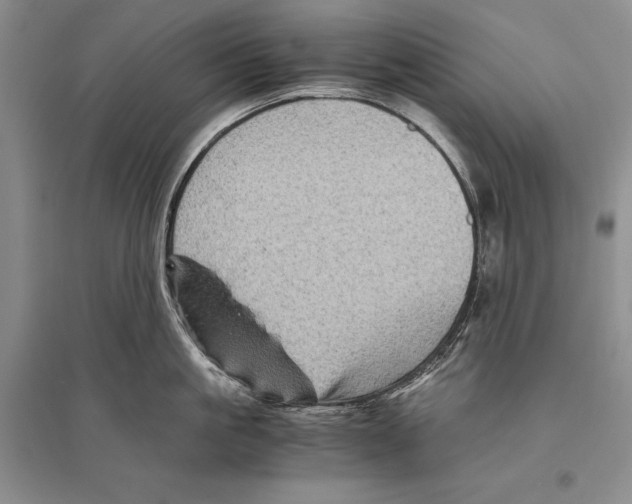 X0000096440861200802211208