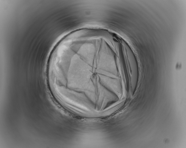 X0000096440864200802211208