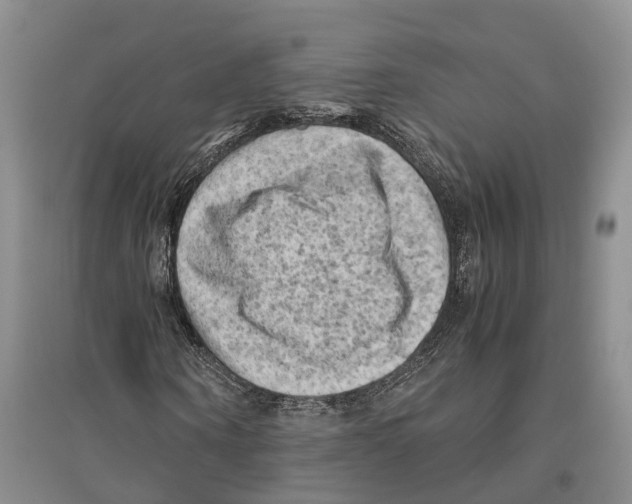 X0000096440866200802211208