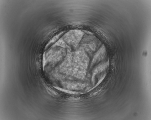 X0000096440868200802211208