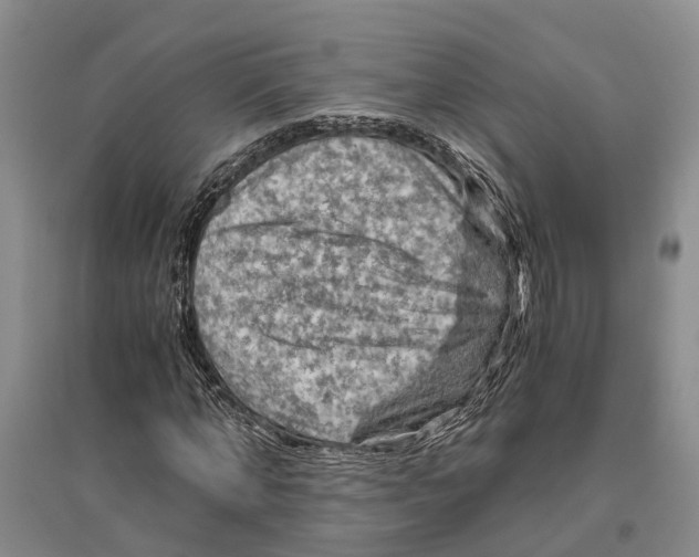 X0000096440870200802211208