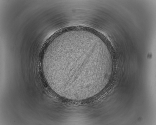 X0000096440871200802211208