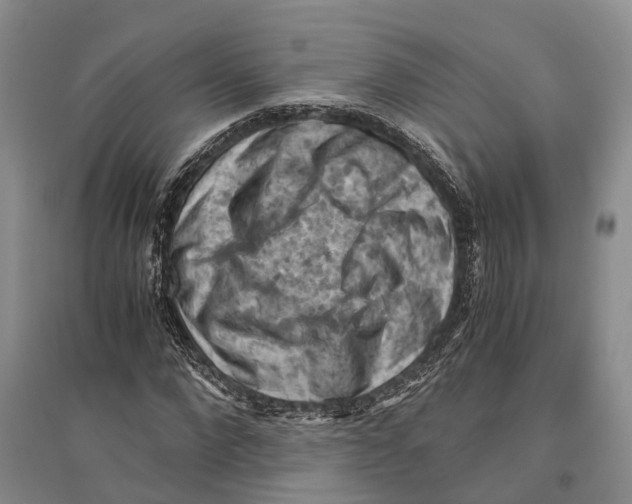 X0000096440872200802211208