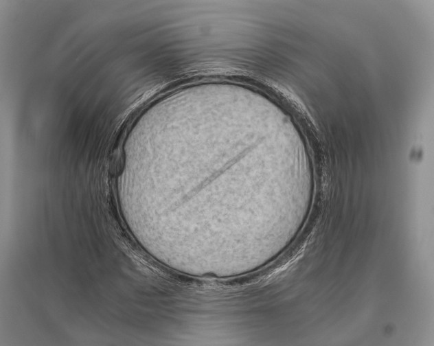 X0000096440873200802211208