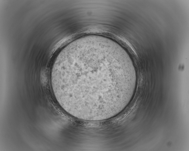 X0000096440874200802211208