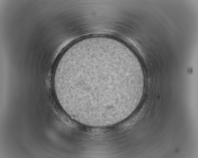 X0000096440875200802211208