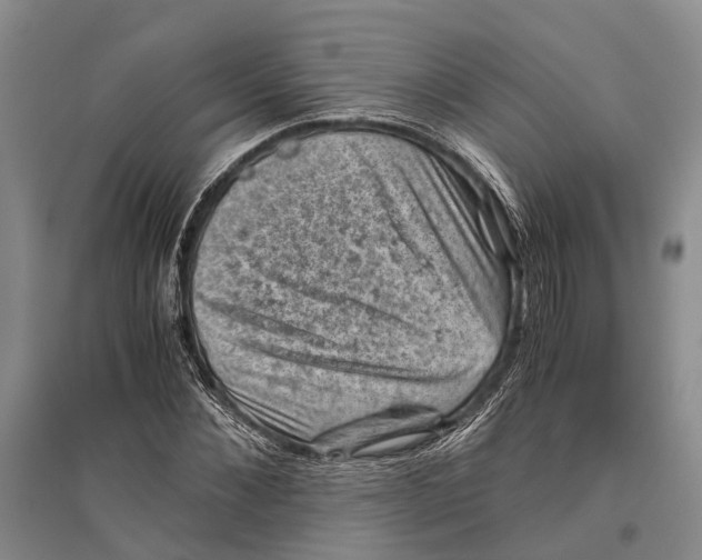 X0000096440876200802211208