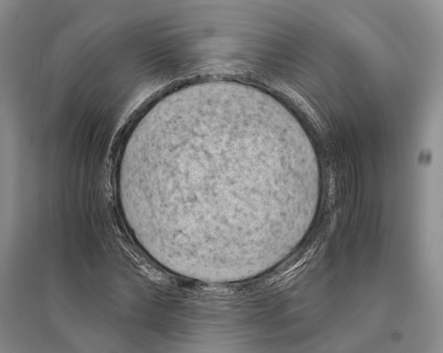 X0000096440878200802211208