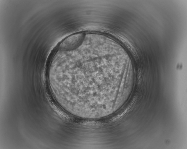 X0000096440880200802211207