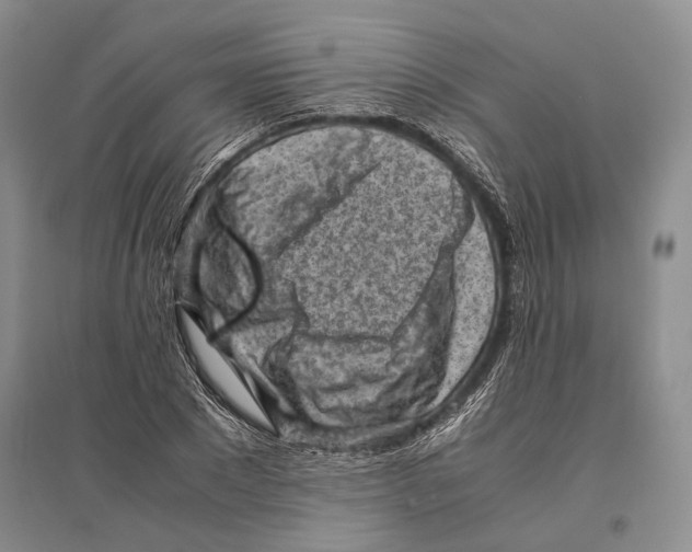 X0000096440881200802211207