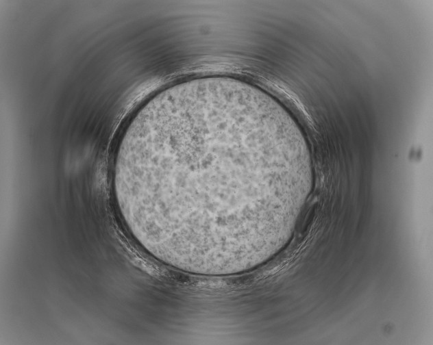 X0000096440882200802211207