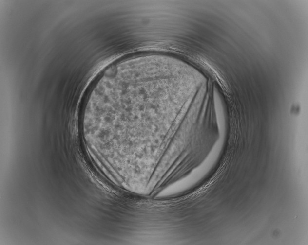 X0000096440884200802211207