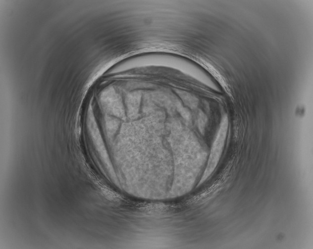 X0000096440885200802211207