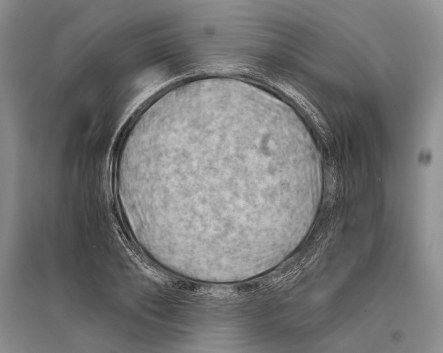 X0000096440886200802211207