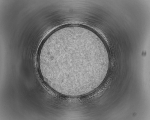 X0000096440887200802211207